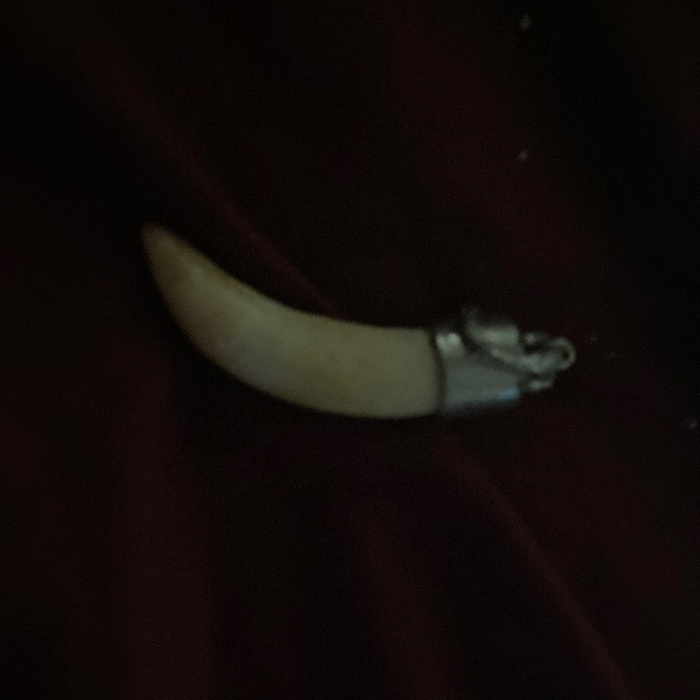 Authentic extra large gator tooth keychain